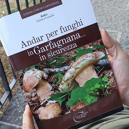 Alpeggio Pruno Feriehus Corfino
